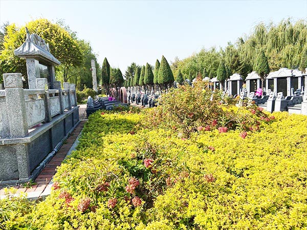墓区环境 (1)